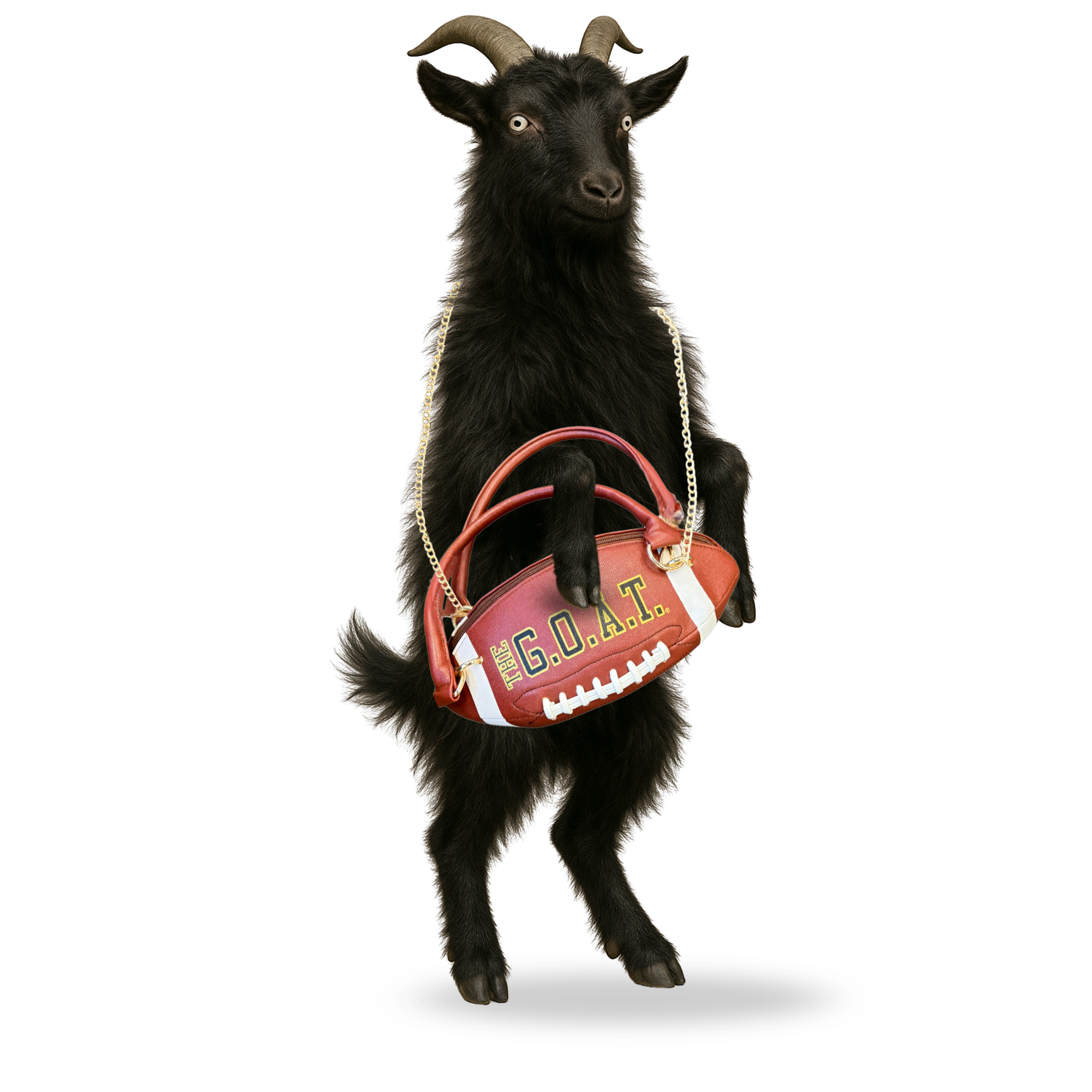 Football Purse - JRS0804